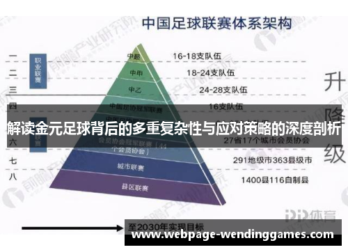 解读金元足球背后的多重复杂性与应对策略的深度剖析