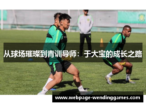 从球场璀璨到青训导师：于大宝的成长之路