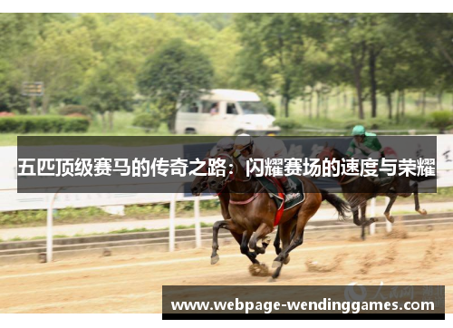 五匹顶级赛马的传奇之路：闪耀赛场的速度与荣耀