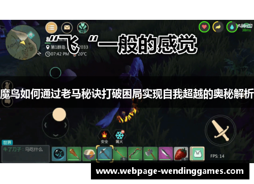 魔鸟如何通过老马秘诀打破困局实现自我超越的奥秘解析
