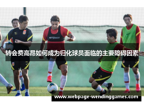 转会费高昂如何成为归化球员面临的主要障碍因素