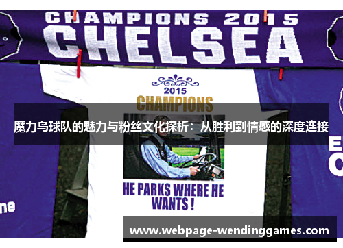 魔力鸟球队的魅力与粉丝文化探析：从胜利到情感的深度连接