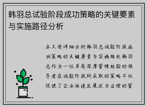 韩羽总试验阶段成功策略的关键要素与实施路径分析